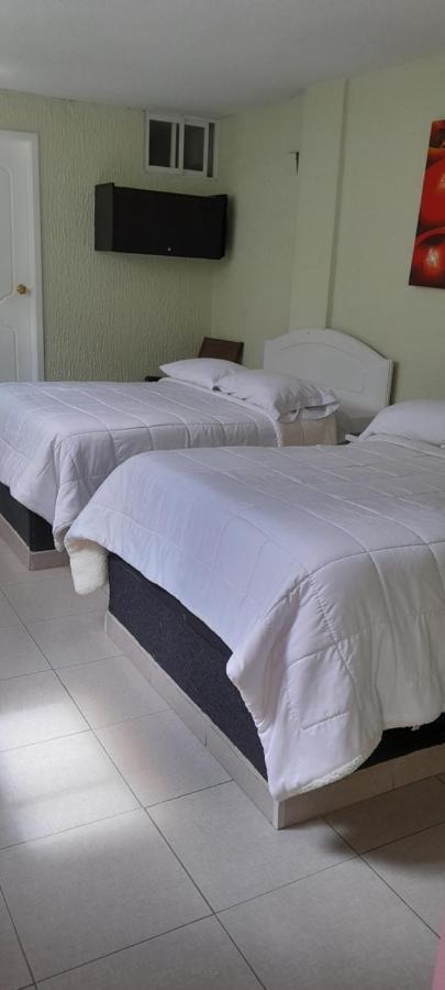 Hostal Brilliant كويتو المظهر الخارجي الصورة